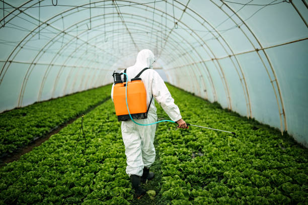 Best Exterminator Services  in Ahtanum, WA