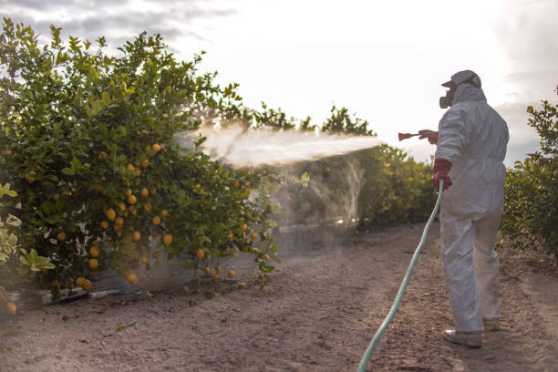 Best Cockroach Control Services  in Ahtanum, WA