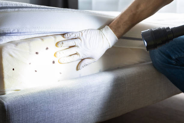 Best Bed Bug Extermination  in Ahtanum, WA