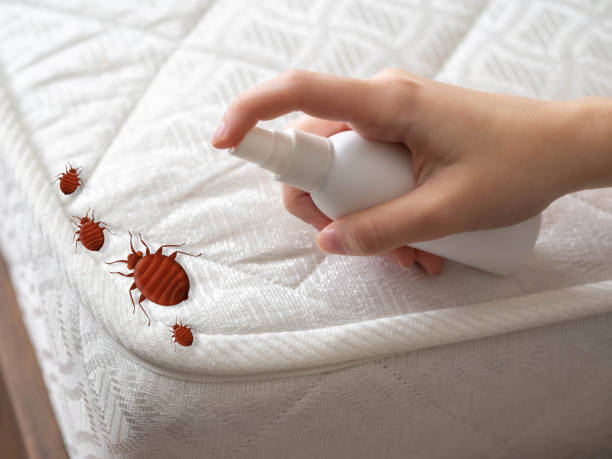 Pest Control for Restaurants in Ahtanum, WA