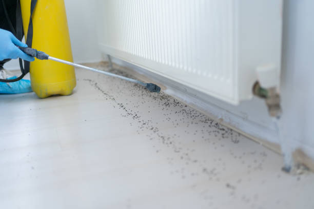 Best Pest Control Near Me  in Ahtanum, WA
